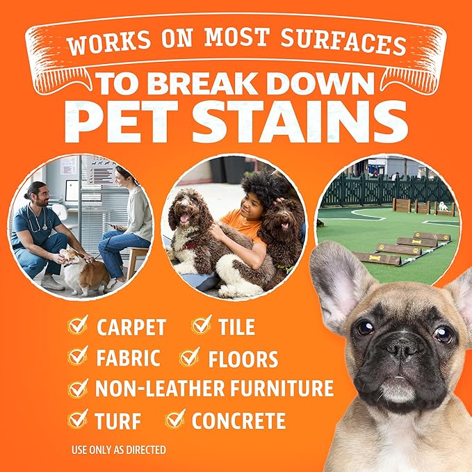 ANGRY ORANGE 1 Gallon Enzyme Cleaner and Deodorizer, Pet Stain and Odor Remover for Dog & Cat Urine and Stains - Citrus, Made in USA-PawvioPets