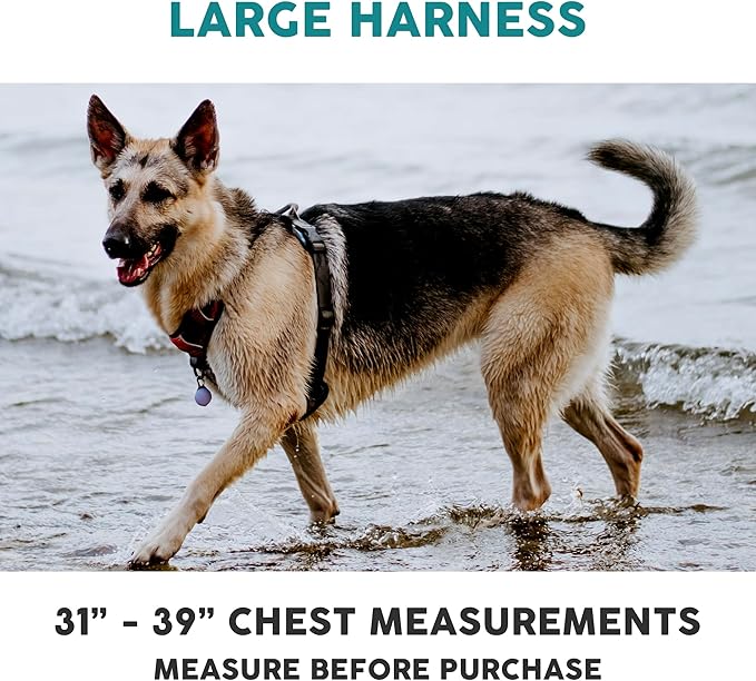 Embark Adventure Dog Harness, Reflective Trim No Pull Dog Harness for Large Dogs - Military Grade Nylon, Front Clip with Gel Lined Handle. Soft & Padded Puppy-PawvioPets