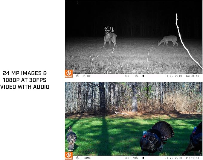Bushnell Prime Low Glow Trail Camera - 24MP Image Quality, 1080p HD Video, Advanced Sensor Technology for Clear Nighttime Captures, Brown-PawvioPets