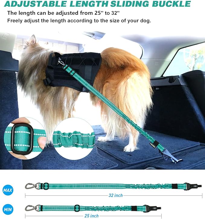 AUBELL Dog Seat Belt for Car,Updated 3-in-1 Adjustable Reflective Bungee Heavy Duty Dog Car Harness Tether with Clip Hook Latch & Buckle,Swivel Zinc Alloy Carabiner,Teal-PawvioPets