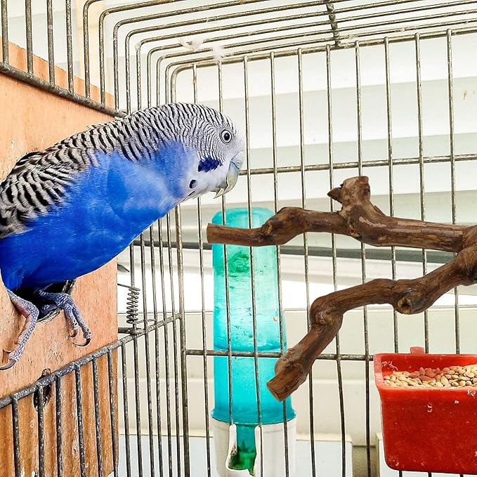 2 Packs Parrot Bird Perches,Natural Wild Grape Stick Grinding Paw Climbing Standing Cage Accessories Toy for 3-4 Parakeets, Budgies, Lovebirds,Cockatiels (Style-1)-PawvioPets