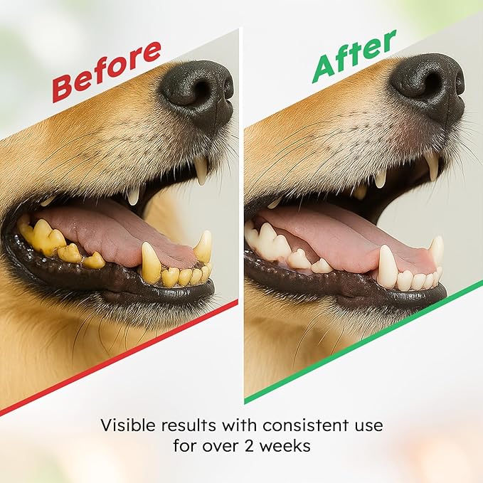 Dog Teeth Cleaning Powder - Dog Breath Freshener + Dental Care for Doggies & Cats + Tartar Remover for Teeth with Natural Ingredients + Probiotics Blend (Mint - 100g)-PawvioPets