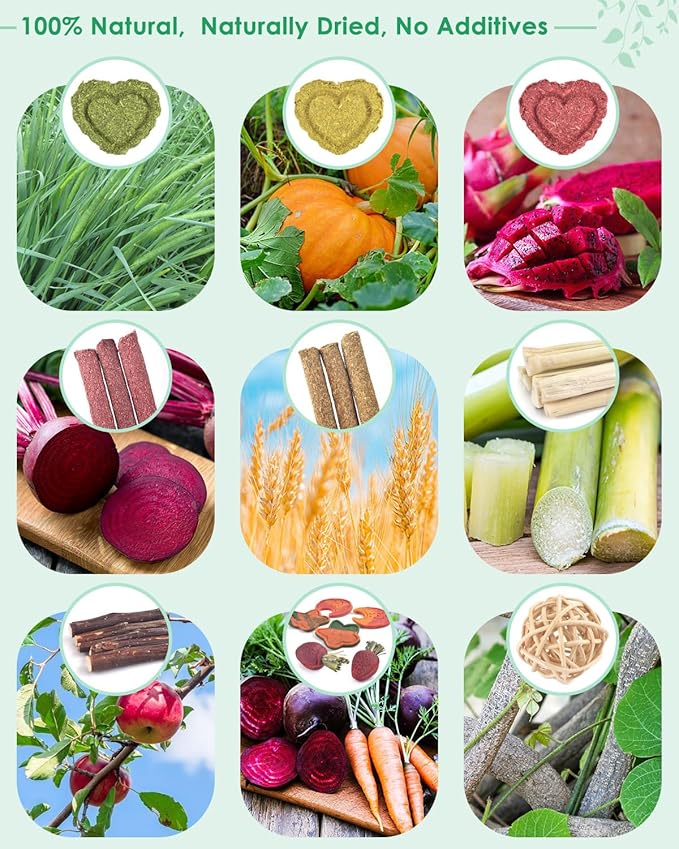 ERKOON 33PCS Bunny Chew Toys for Rabbits Teeth, Natural Rabbit Toys Apple Wood Sticks, Carrot, Timothy Grass Toys for Small Pets, Hamster, Chinchilla, Guinea Pig Dental Care and Treat Teething Toys-PawvioPets