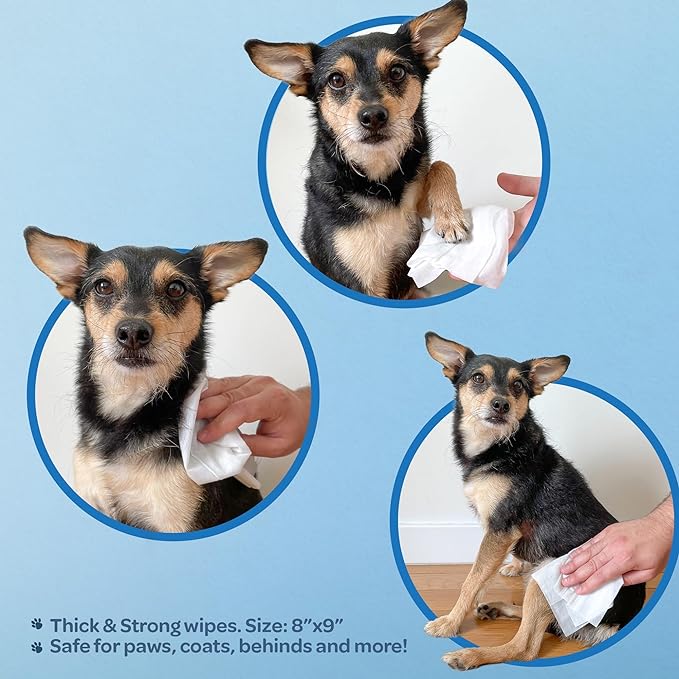 Best Pet Supplies Pet Wipes for Dogs - Dog Wipes Cleaning Deodorizing, for Coats, Ears, Paws - Calming Lavender, Aloe Vera, 100 Count-PawvioPets