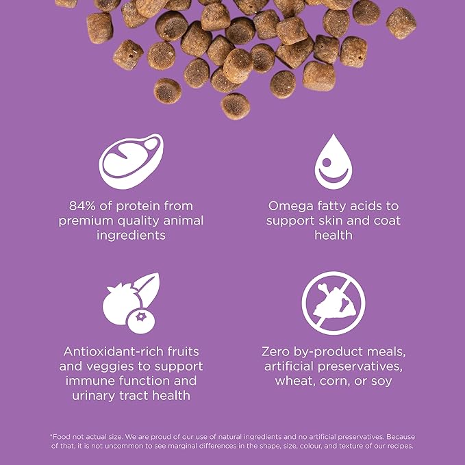 Go! Solutions Carnivore, Grain-Free, Protein Rich Dry Cat Food, Chicken, Turkey and Duck Recipe, 3 lb Bag-PawvioPets