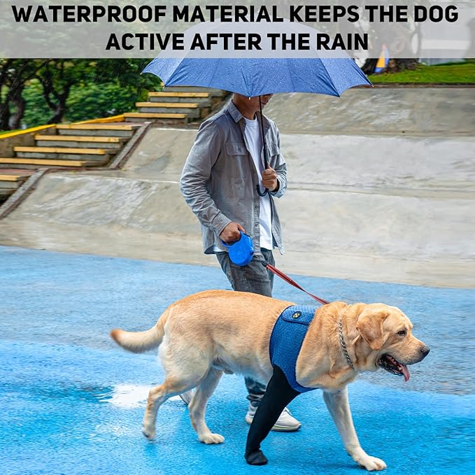 COODEO Dog Socks to Prevent Licking Paws, Healing Boots & Paw Protectors with Non-Slip Bottoms for Wound Protection, Waterproof Sleeve Shoes for Licking（Blue，L_Left-PawvioPets