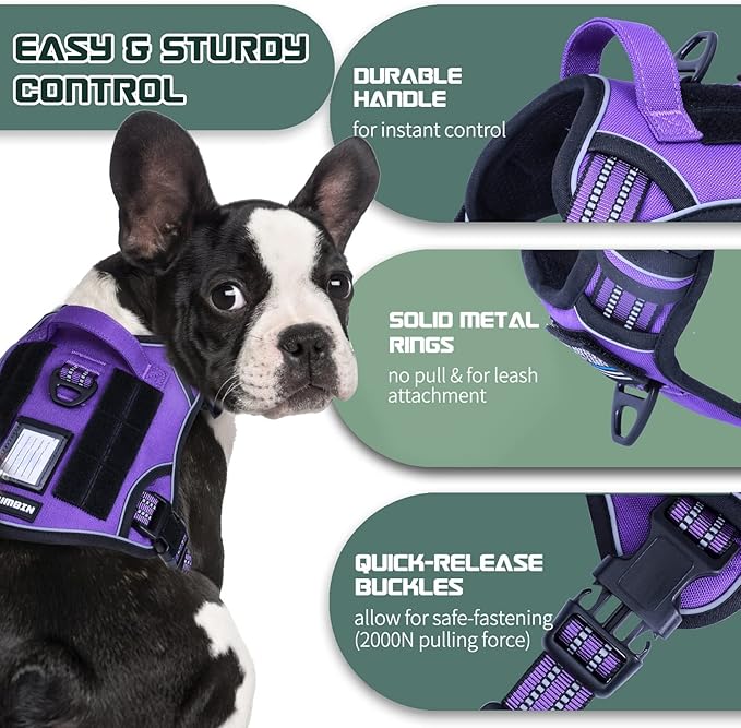 BUMBIN Tactical Dog Harness for Small Dogs No Pull, Famous TIK Tok No Pull Puppy Harness, Fit Smart Reflective Pet Walking Harness for Training, Adjustable Dog Vest Harness with Handle Purple XS-PawvioPets