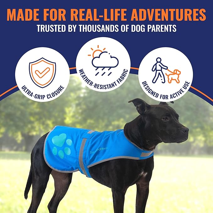 Dog Reflective Vest – Hi-Vis Fluorescent Visibility That Helps to Safeguard Your Pet On/Off Leash in Urban & Rural Areas (Blue, Medium)-PawvioPets