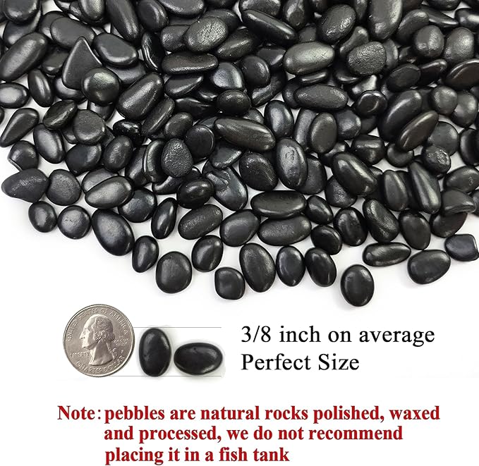 Black Pebbles - 3/8 inch Small Stones for Indoor Plants, Succulents, Aquariums & Landscaping-PawvioPets