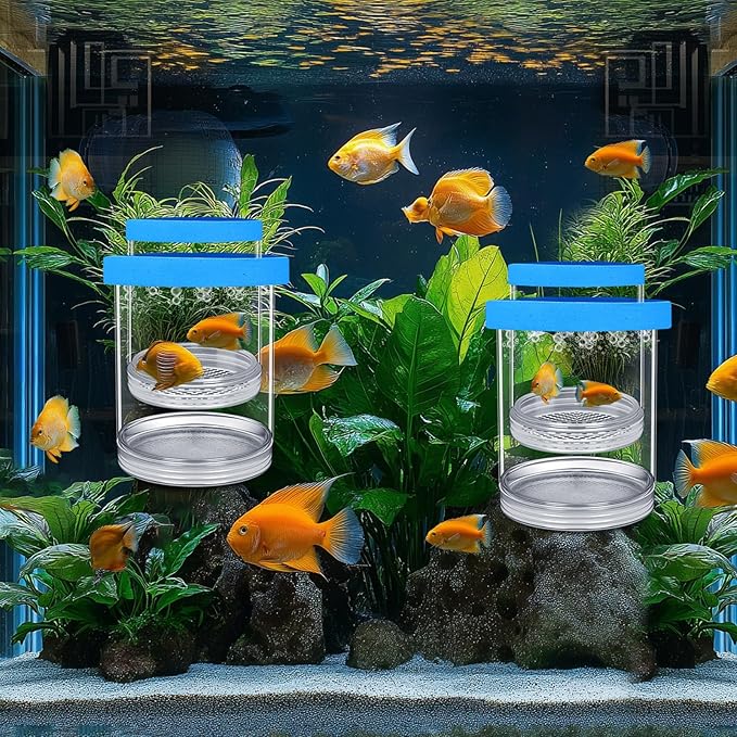 2 Pcs Breeder Box for Fish Tank Aquarium Breeder Separation Net Breeding Box with Suction Cup for Small Fish Shrimp Clownfish Guppy(Blue,L)-PawvioPets