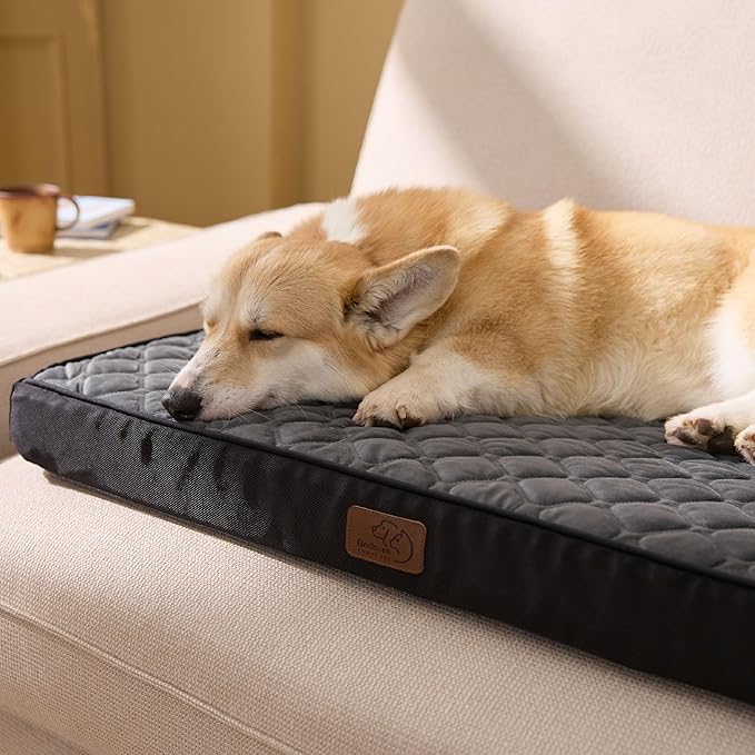 Bedsure Orthopedic Dog Bed for Medium Dogs - Flat Memory Foam Pet Mattress with Removable Washable Cover and Egg Crate Foam, Suitable for Pet Up to 35 lbs, 30x20x3 Inches, Black-PawvioPets