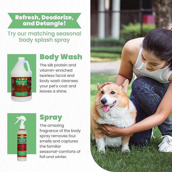 Best Shot Scentament Spa Seasonal Facial & Body Wash, Harvest Apple, 1 Gallon-PawvioPets