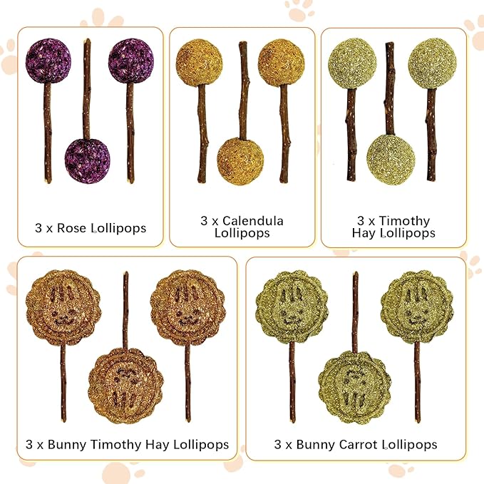 Fhiny Rabbit Chew Toys, 15 PCS Natural Bunny Lollipop Chew Sticks Handmade Guinea Pig Molar Treats for Teeth Small Animals Snacks for Guinea Pig Bunny Chinchilla Hamster Gerbil Teeth Care-PawvioPets