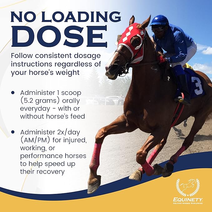 100-Day Supply Horse XL Supplements – Horse Care Weight Gain Supplement W/ 8 Amino Acids - No Soy or Sugar Coat Defense for Horses - Joint Supplement, Equine Supplies & Hoof Supplements-PawvioPets