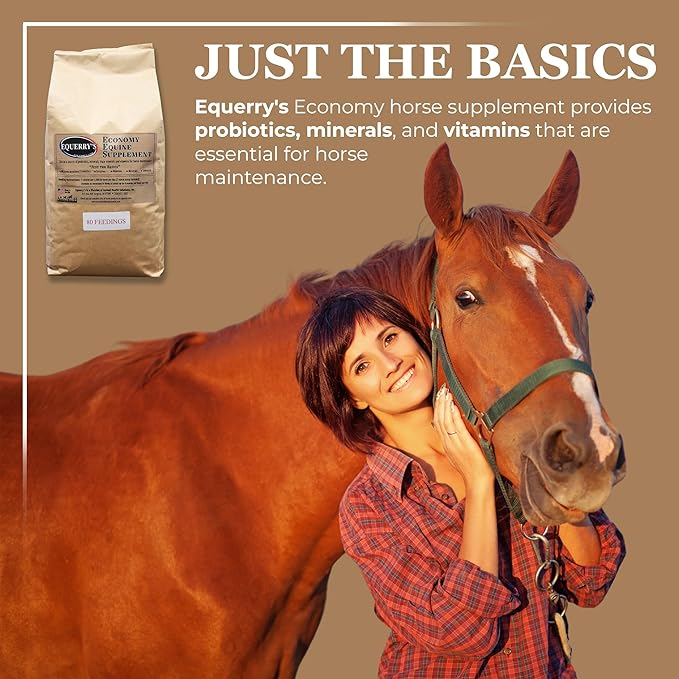 Equerry's Economy Equine Supplement - Horse Probiotics | Supplement for Horses | Horse Vitamins and Minerals Supplement with Enzymes and Selenium, 10lb-PawvioPets