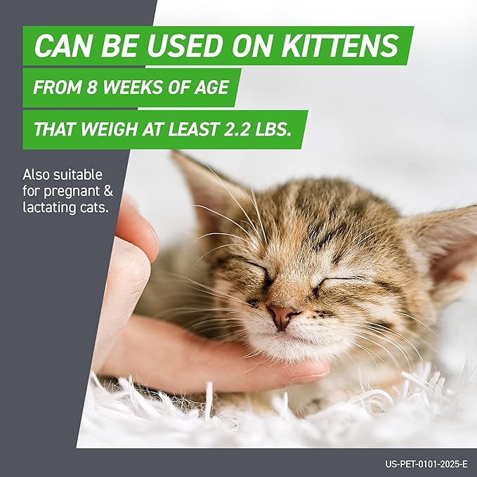 FRONTLINE Plus Flea and Tick Treatment for Cats Over 1.5 lbs. 6 Treatments-PawvioPets