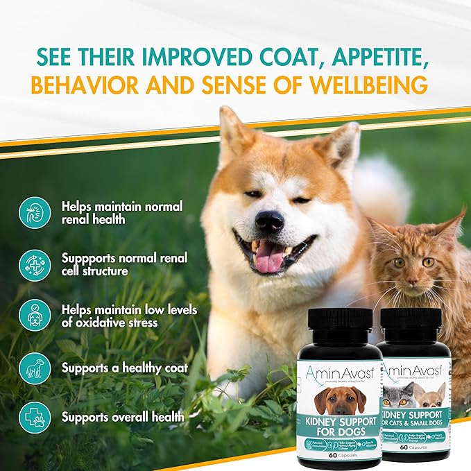 AminAvast Small Dogs & Cat Kidney Support - Promotes Healthy Kidney Support in Cats & Small Dogs - 300mg, 60 Capsule-PawvioPets