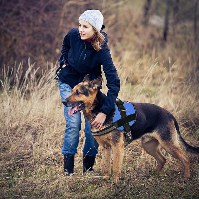 Dogline Dog Harness, Reflective No-Pull Adjustable Vest with Handle for Walking, Training, Breathable, No - Choke Harness for Small, Medium or Large Dogs Room for Patches Girth 27 to 34 in Cyan Blue-PawvioPets