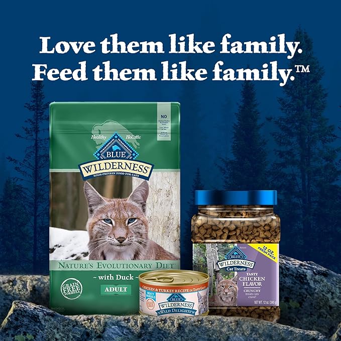 Blue Buffalo Wilderness Healthy Adult Dry Cat Food, Supports Health and Wellness, High-Protein & Grain-Free, Duck, 11-lb Bag-PawvioPets