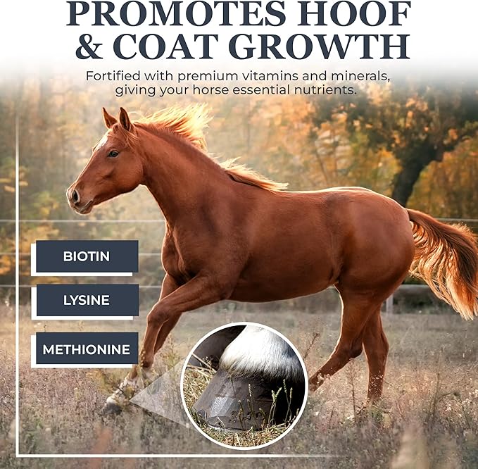 Equerry's Combined RX 4 Way | Equine Nutritional Support | Complete Formula | Digestive and Joint Support | Hoof & Hair | Probiotics Vitamins & Minerals 160 Feedings, 20lb.-PawvioPets