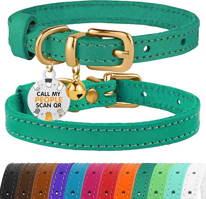 BRONZEDOG Leather Cat Collar with Removable Bells Non Breakaway Kitten QR Tag for Girl Boy (9" - 12" Cats/Mini Dogs, Green & Gold)-PawvioPets
