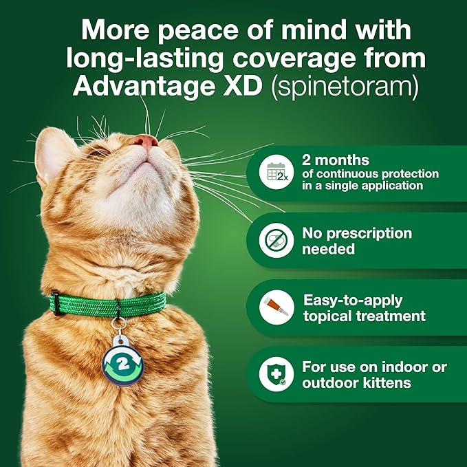 Advantage XD Small Cat Flea Prevention & Treatment For Cats 1.8-9lbs. | 2-Topical Doses, 2-Months of Protection Per Dose-PawvioPets