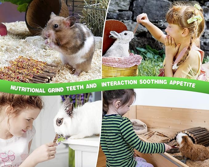 Abizoo Bunny Chew Toys for Rabbits,18PCS Natural Apple Wood Sticks with Petals Good for Chinchillas Guinea Pig Hamster Teeth Care, Bunny Small Pet Treats Teething Toys| Natural Organic Safe-PawvioPets