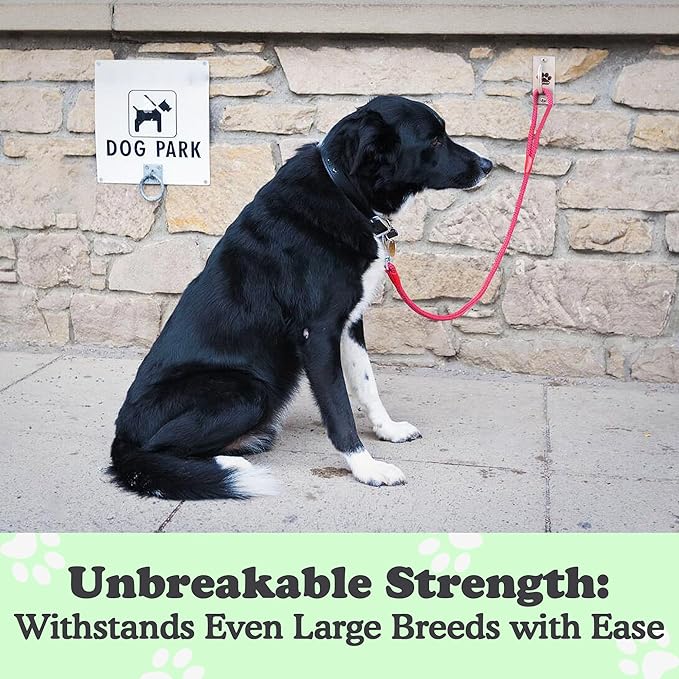 Canine Hitch- Secure Dog Leash Parking Mounted Indoor – Outdoor Wall Hook - Tie Out Stainless Steel Practical Lead Management for Home & Business, Standard Size 6 Pack-PawvioPets