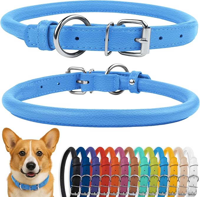 CollarDirect Rolled Leather Dog Collar, Soft Padded Round Puppy Collar, Handmade Genuine Leather Collar Dog Small Large Cat Collars 13 Colors (11-14 Inch, Light Blue Textured)-PawvioPets