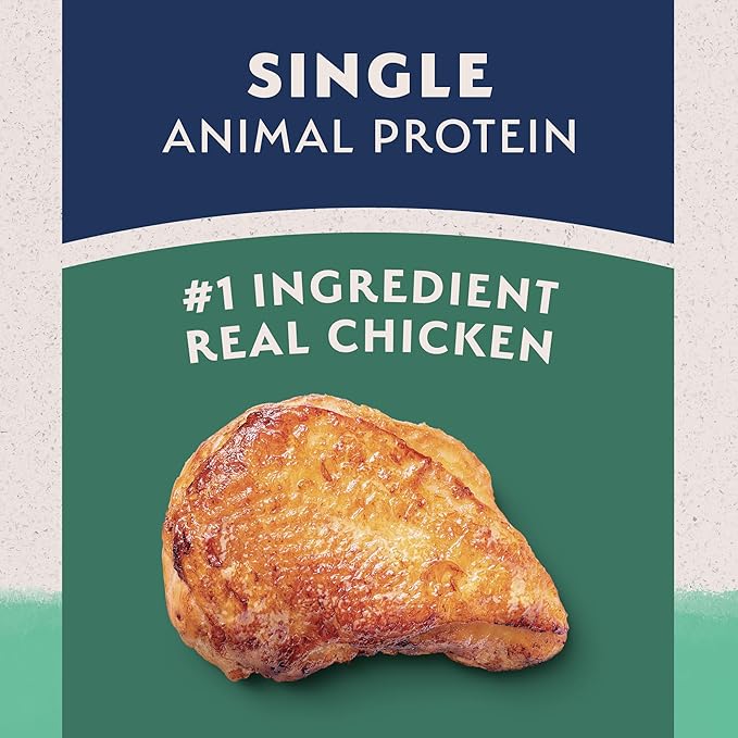 Natural Balance Limited Ingredient Adult Grain-Free Dry Dog Food, Chicken & Sweet Potato Recipe, 4 Pound (Pack of 1)-PawvioPets