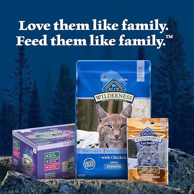 Blue Buffalo Wilderness Wild Delights Meaty Morsels Wet Cat Food, High-Protein & Grain-Free, Made with Natural Ingredients, Chicken & Turkey Recipe in Tasty Gravy, 3-oz. Cans (24 Count)-PawvioPets