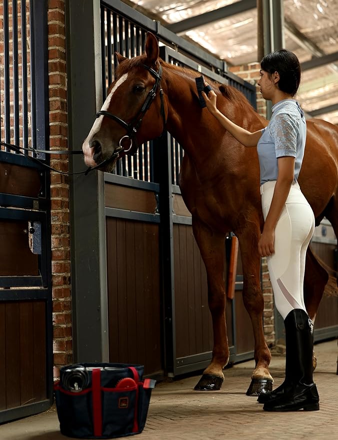 9PCS Horse Grooming Kit Curry Comb Sweat Scraper Horse Bathing Supplies Grooming Tools with Storage Bag Shadowberry-PawvioPets