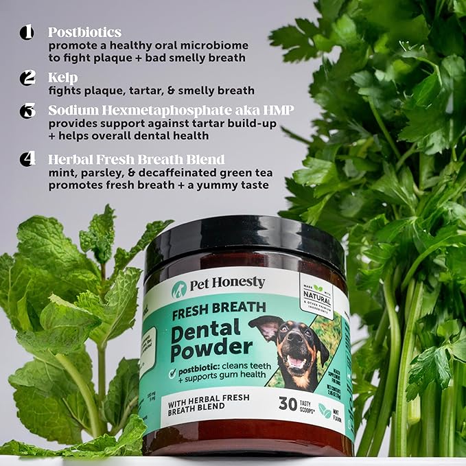 Dog Breath Freshener Dental Powder for Teeth Cleaning Plaque Off, Dental Care for Dogs, Tartar Remover for Teeth with Natural Herbal Blend + Postbiotics (Mint - 30 Servings)-PawvioPets