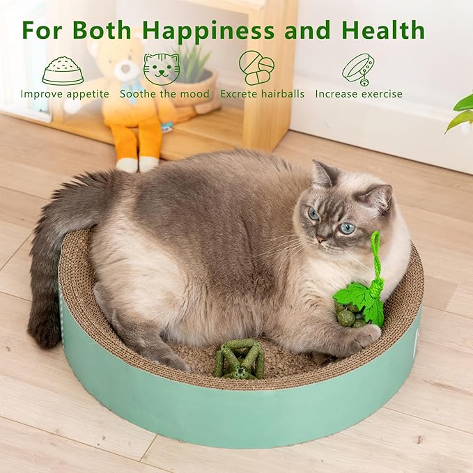 Cat Catnip Toys,2Pcs Catnip Ball for Cats,Toys for Indoor Cats,Cat Chew Exercise Toy for All Breeds and Species,Enhances Oral and Dental Health-PawvioPets