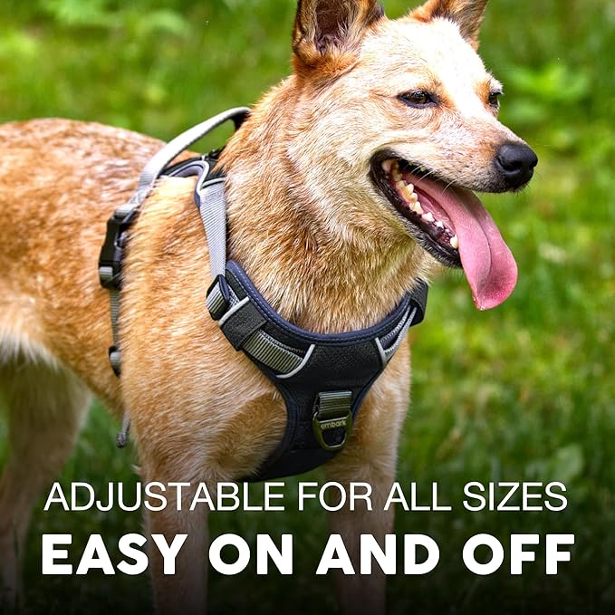 Embark Adventure Dog Harness, No-Pull Reflective Trim Dog Harness for Small, Medium & Large Dogs - Military Grade Nylon, 2 Leash Clips & Gel Lined Handle. Soft & Padded Puppy Dog Vest for Any Breed-PawvioPets