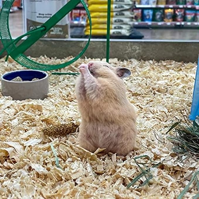 Blue Mountain Hay | Fresh Organic Meadow Hay (15 Ounce) | Mimics Natural Forage | High-Altitude Hay Pet Food for Rabbits, Guinea Pigs, Chinchillas, Hamsters, and Other Small Pets-PawvioPets