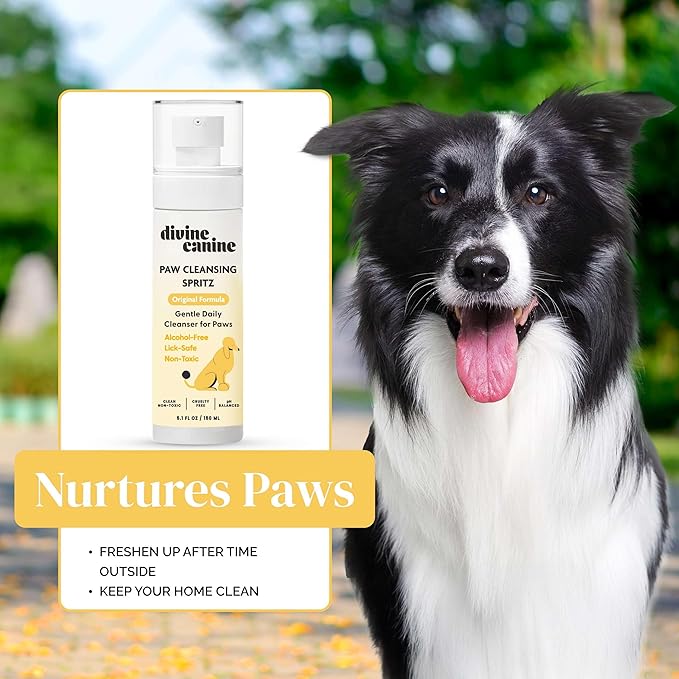 Dog Paw Cleaner - 5.1 Fl Oz of Alcohol Free Paw Cleansing Spray - Made with Aloe, Copaiba Oil, and Lemongrass Oil to Nourish and Clean Paws - Made in The USA-PawvioPets
