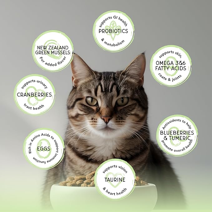 Blackwood Bounty Dry Cat Food, Whitefish & Lentil Recipe for All Life Stages, 4.5 Pound Bag, High Protein, Grain Free-PawvioPets