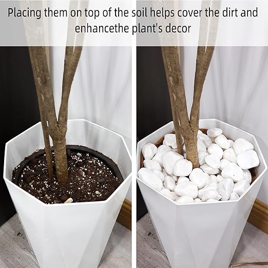 18LB 1"-2" White River Rocks for Plants, Polished Pebbles for Garden Landscaping, Planters, Aquariums, Vase Fillers – Indoor & Outdoor Decor-PawvioPets