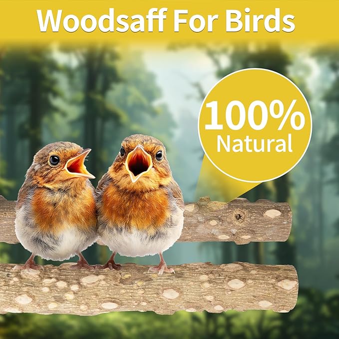 Bird Perches, 6PCS Natural Wood Birds Perch Stand Set, Parakeet Toys, Bird Cage Accessories, Stand & Toys for Parakeets, Cockatiels, Conure, Budgies-PawvioPets