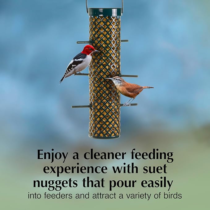 C&S Sunflower Suet Nuggets, Suet Nuggets for Wild Birds, 27 Ounces-PawvioPets