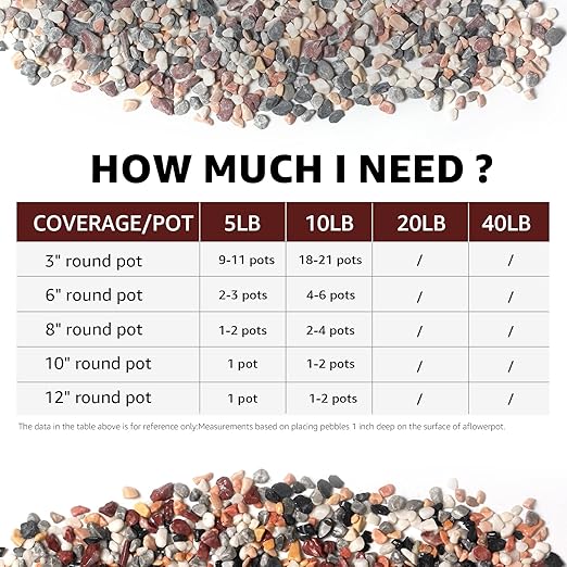 5lbs Natural Gravel Pebbles for Succulents and Cacti, 1/5 Inch Decorative River Stones – Perfect for Vases, Aquariums, Terrariums, and Outdoor Gardening, Mixed Colors (Mixed, 5 Pounds)-PawvioPets