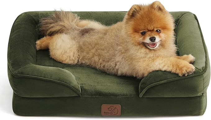 Bedsure Orthopedic Dog Beds for Small Dogs - Washable Small Dog Cat Bed Waterproof, Comfort Pet Couch Sofa with Washable Removable Cover, Pets Bed with Nonskid Bottom, Moss Green, 24"-PawvioPets