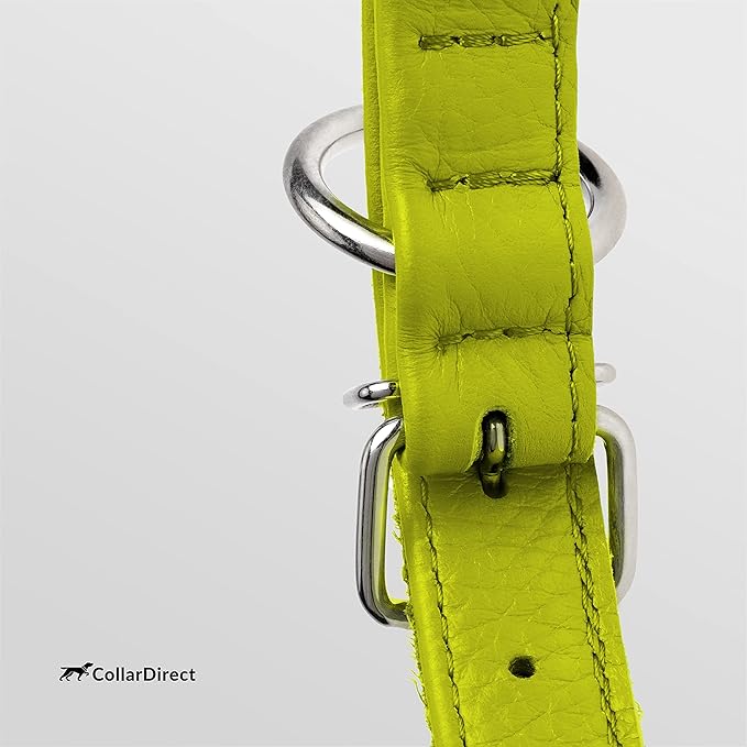 CollarDirect Rolled Leather Dog Collar, Soft Padded Round Puppy Collar, Handmade Genuine Leather Collar Dog Small Large Cat Collars 13 Colors (13-16 Inch, Lime Green Textured)-PawvioPets
