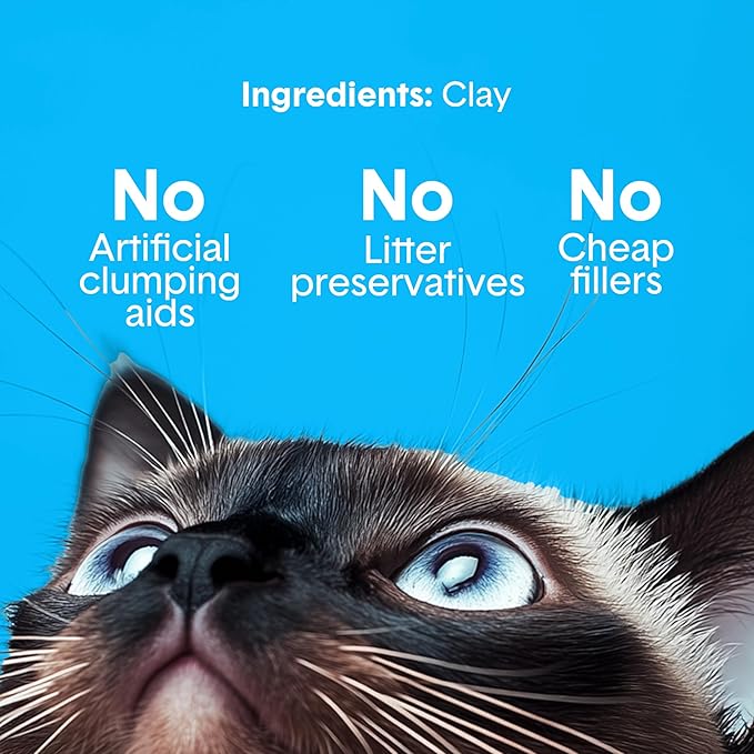 Boxie® Unscented 30 Day Odour Control Clumping Clay Cat & Kitty Litter 28 lb, 99.9% Dust-Free, Hard Flat Top® Clumps, No Fragrances No Fillers, Long-Lasting, Easy to Scoop-PawvioPets