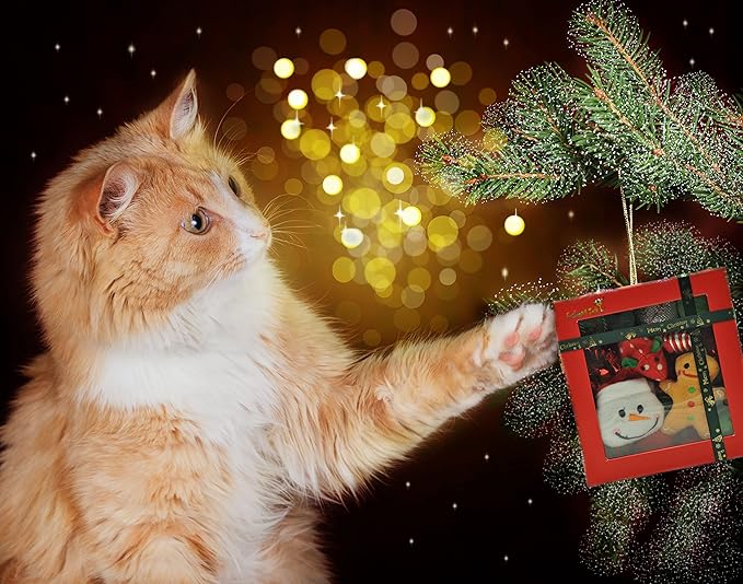Fashion's Talk Holiday Festive Red Variety Pack Gift Box Cat Toy with Catnip, Box 20 Count-PawvioPets