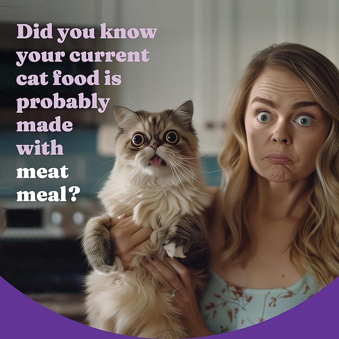 Halo Holistic Cat Food Wild Caught Salmon & Whitefish Formula, Healthy Grains Dry Cat Food, Complete Digestive Health, Kibble for Adult Cats, 10 lb Bag-PawvioPets