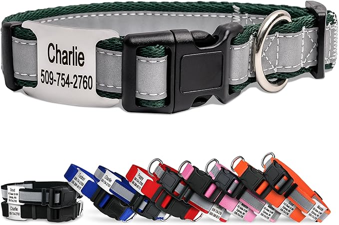 GoTags Reflective Personalized Dog Collar with Nameplate, Adjustable Dog Collar with Custom Engraved Steel Slide On Pet ID Tag, Silent, No Noise Dog Tag for Large Medium or Small (Hunter Green, Large)-PawvioPets