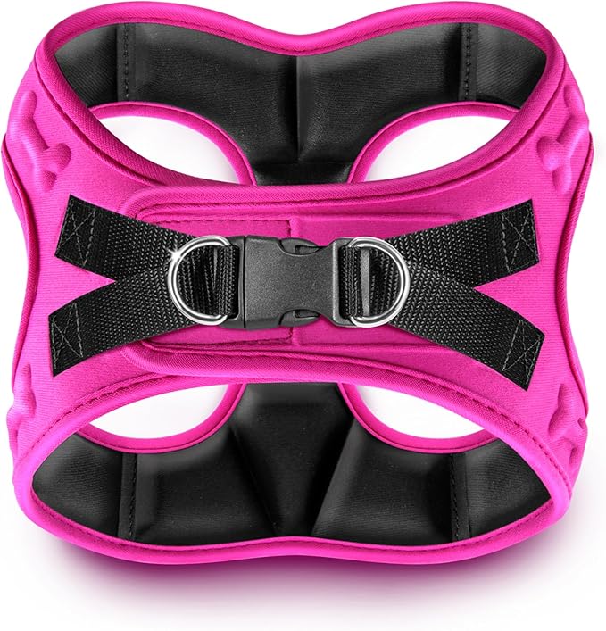 Comfort fit Step-in Dog & Puppy Harness - Comfortable All Weather Dog Vest Harness: Adjustable, Soft Padded, Easy to Put-on for Small, Medium-Sized Dogs.-PawvioPets