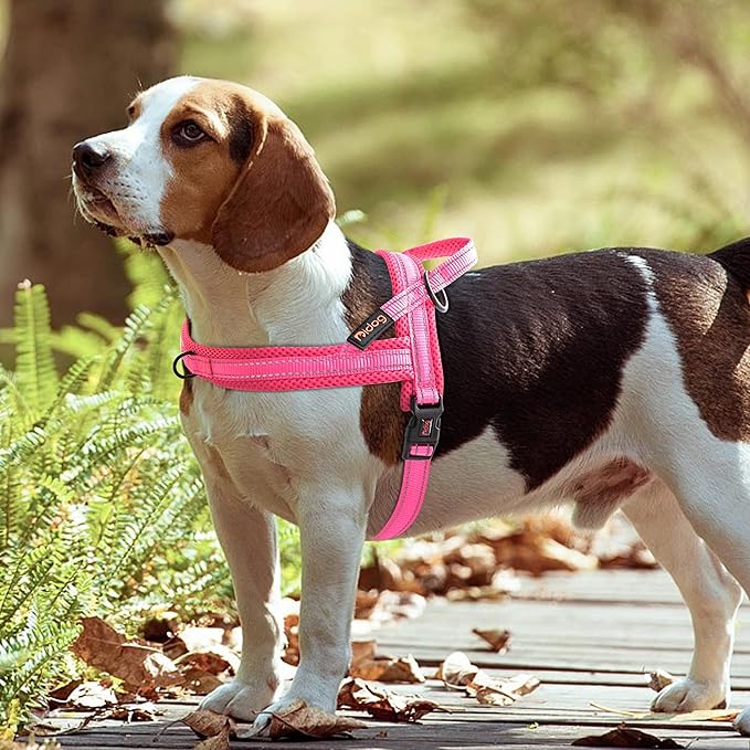 Didog No Pull Dog Harness with Soft Mesh Padded,Reflective & Quick Fit Light Weight Dog Strap Vest Harness,Easy for Walking Training (L:Chest 26-32", Pink)-PawvioPets